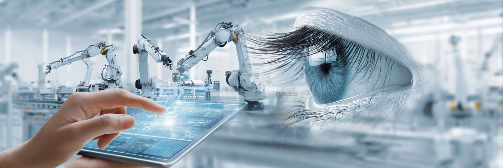 Sichtachsen in der Fertigung – Sichtbezug und Tageslichteinfall